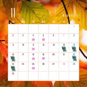 11月カレンダー🍂
