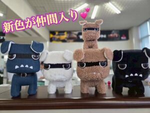 ⭐デリ丸。グッズに新色登場⭐